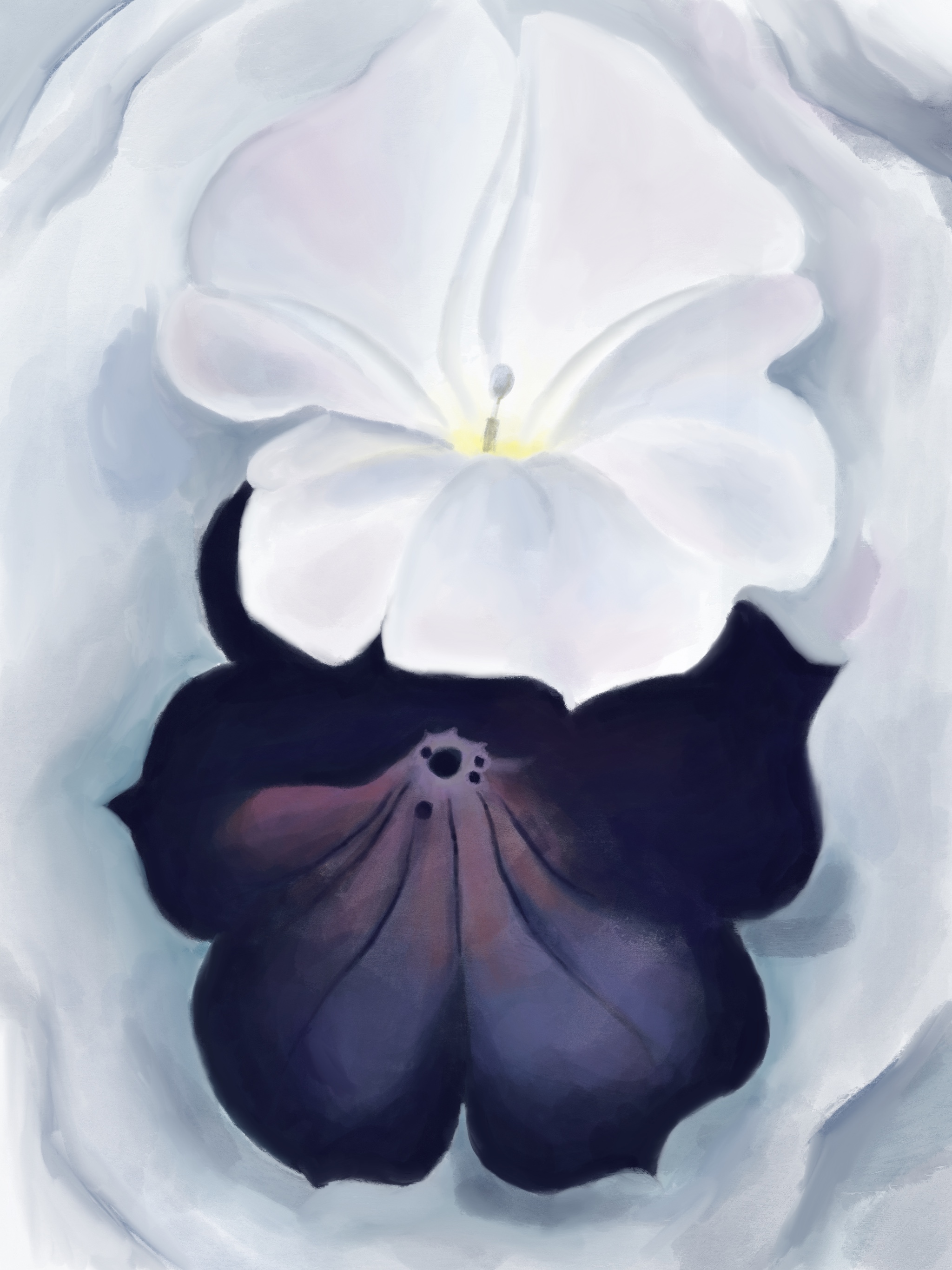 Black Petunia and white Morning Glory