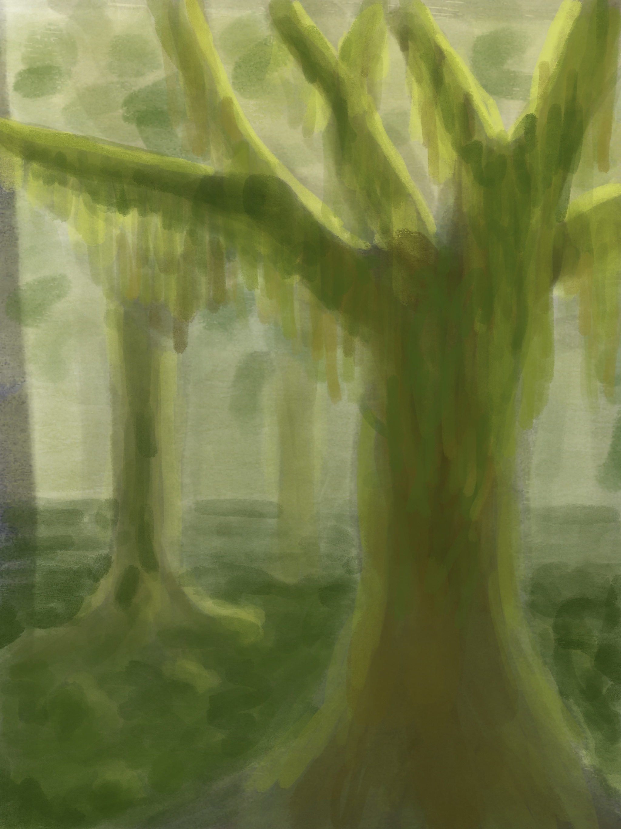 Trees I thought up of in my mind